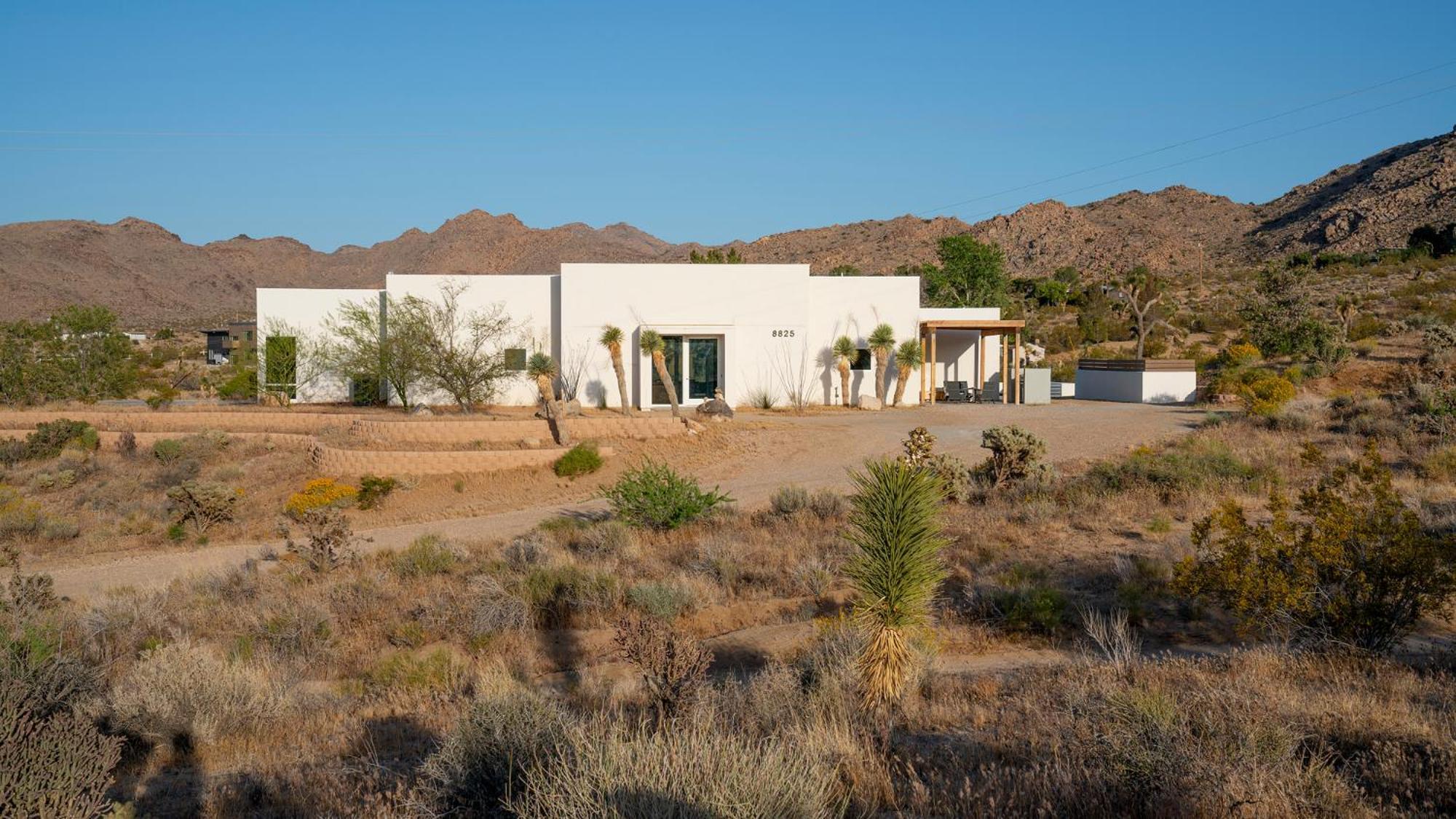 Experience Desert Serenity Gateway To Joshua Tree Ngoại thất bức ảnh
