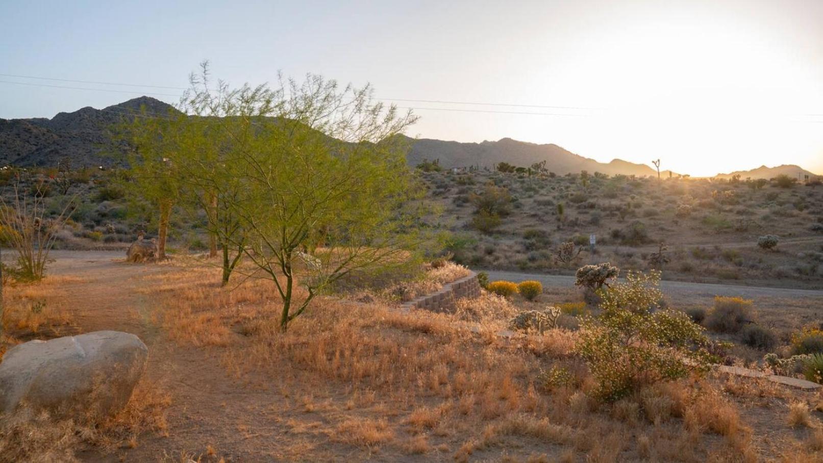 Experience Desert Serenity Gateway To Joshua Tree Ngoại thất bức ảnh